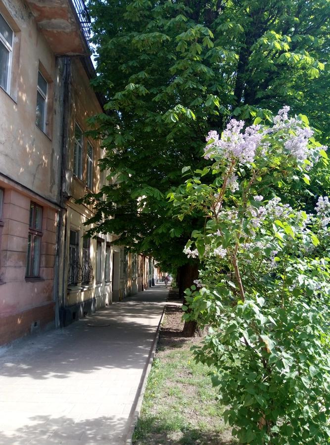 Lviv Appartment On Yaroslava Mudrogo 14 Экстерьер фото